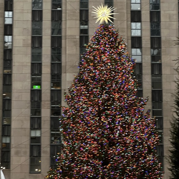 Meet your Posher, Mern - Picture 2 of 2